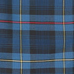 SkirtSlortSwatches_BlueRedPlaid